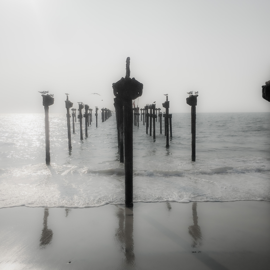 Alappuzha Beach (2)
