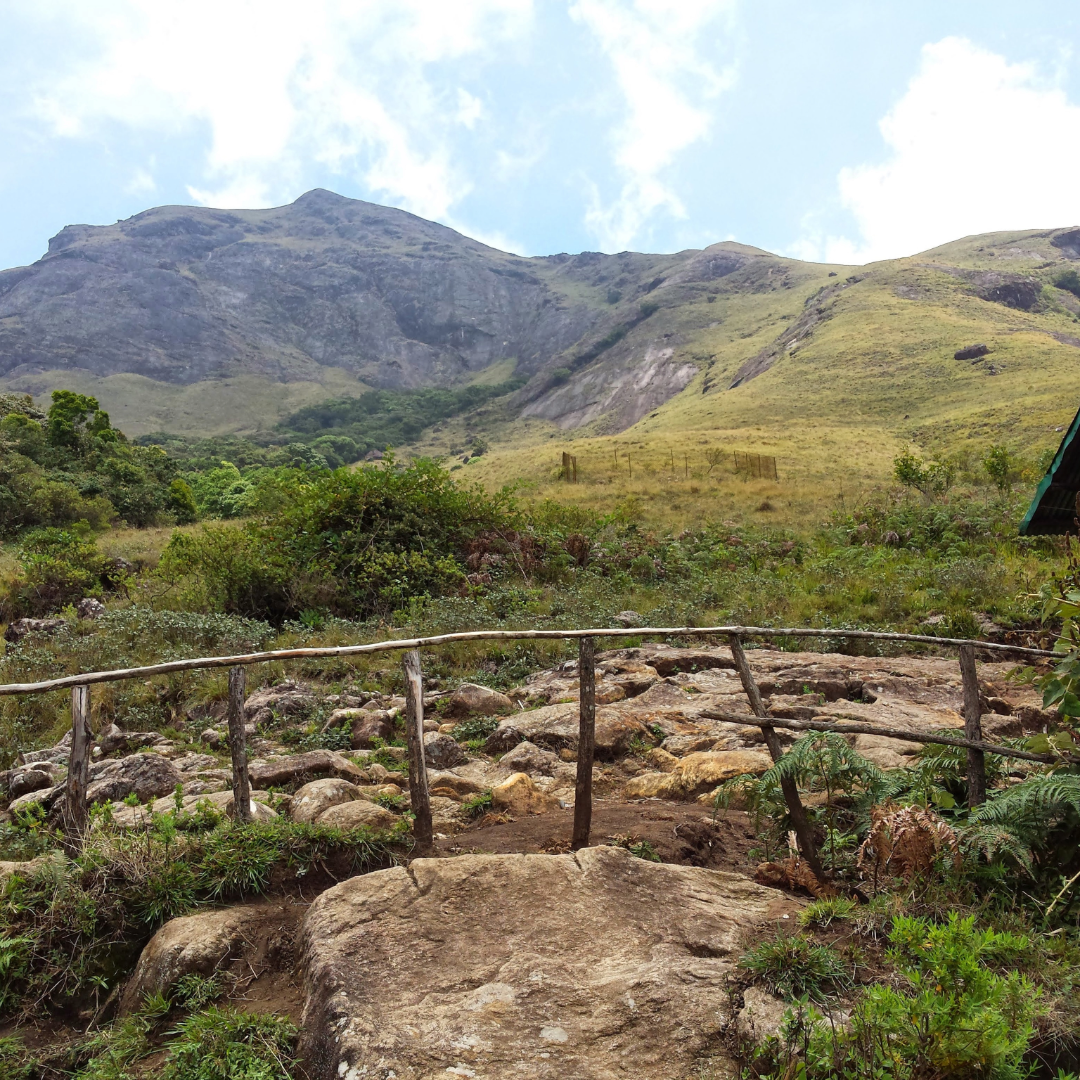 Anamudi Peak-60
