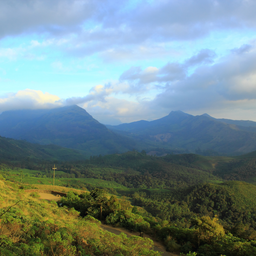 Eravikulam National Park