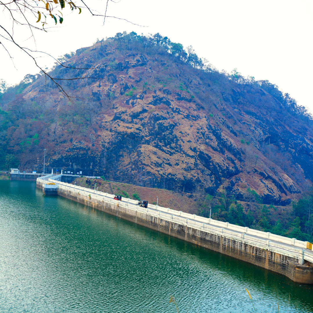 Mattupetty Dam-59