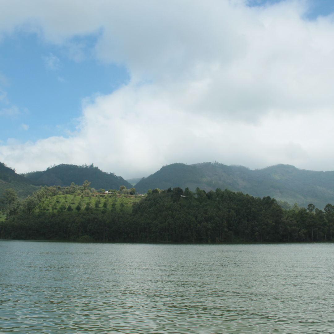 Mattupetty Dam