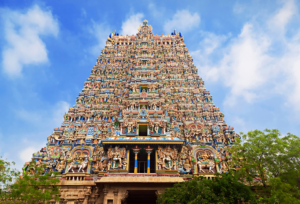 TN (2)