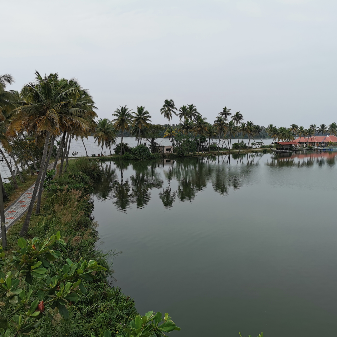 Vembanad Lake