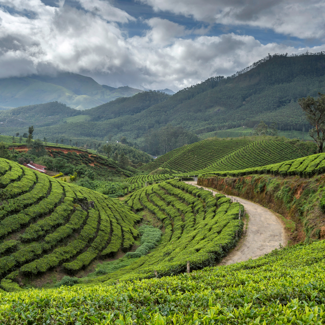 kerala