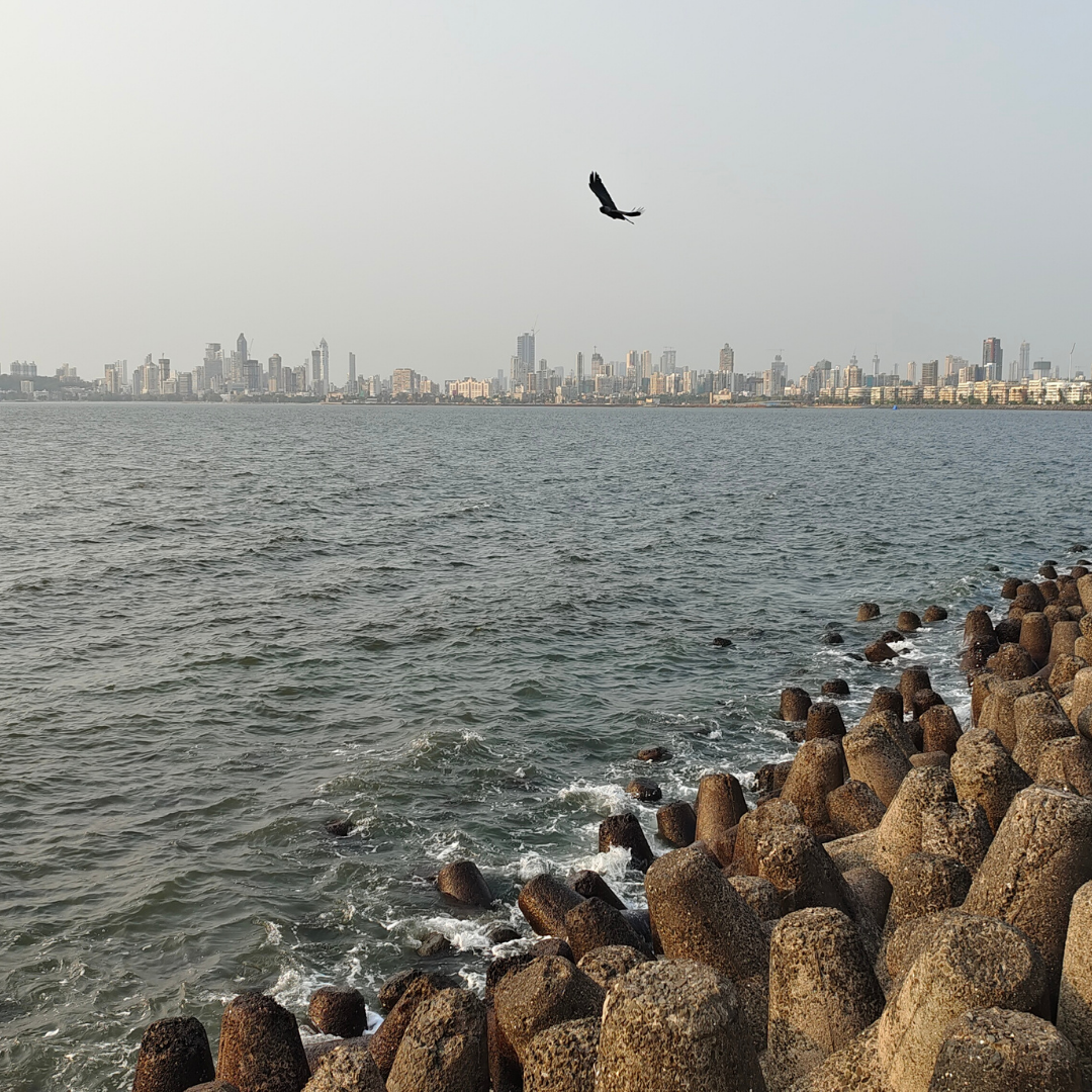 marine drive
