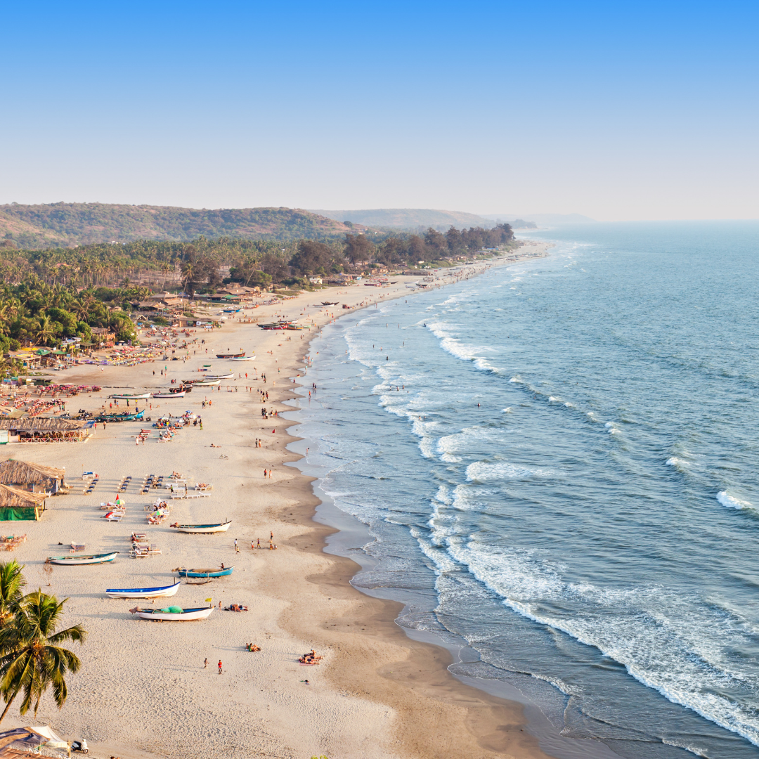Goa (3)