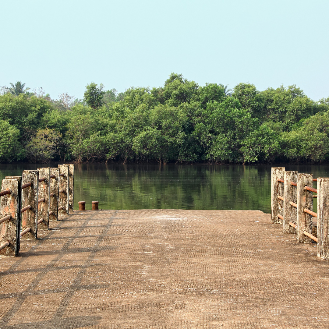 Mandovi River Cruise (2)